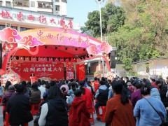 “巳巳如意歡喜年，請(qǐng)到云浮過(guò)大年”系列活動(dòng)啟動(dòng)